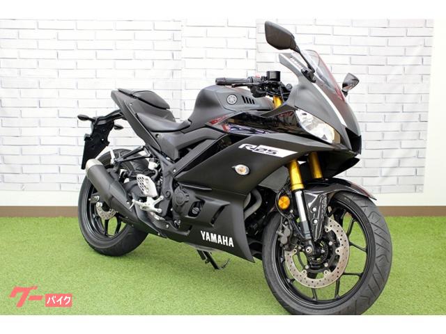 ＹＺＦ−Ｒ２５　ＡＢＳ　２０１９年モデル　ＲＧ４３Ｊ型　ノーマル