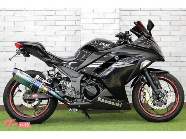 カワサキ Ninja 250 2017年モデル BEETフルEXチタン