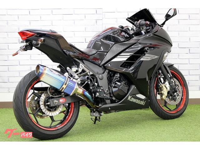カワサキ Ninja 250 2017年モデル BEETフルEXチタン