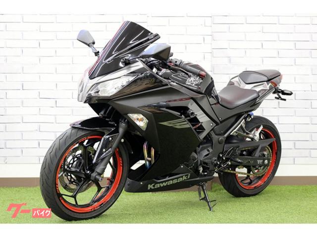 カワサキ Ninja 250 2017年モデル BEETフルEXチタン
