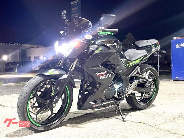 Ｚ２５０　オーバーレーシング　ローダウン　フェンダーレス　社外スクリーン　エンジンガード　ハリケーンハンドル　カスタムレバー
