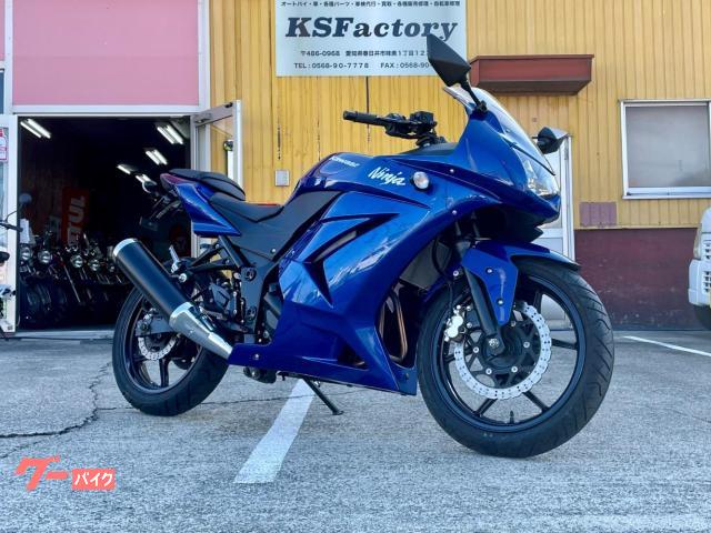 Ｎｉｎｊａ　２５０Ｒ　インジェクション　フェンダーレス　ＥＸ２５０ｋ