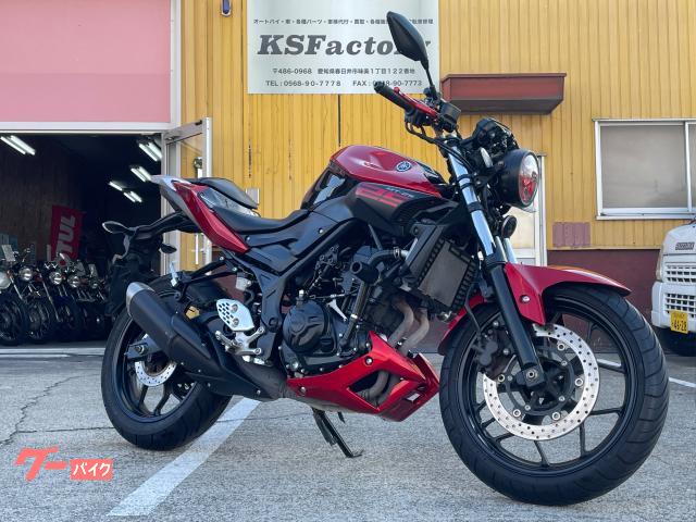 MT−25 丸目 カスタム LEDヘッドライト インジェクション RG10J ETC マルチバー
