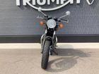 ボンネビルT100 icon edition 限定車