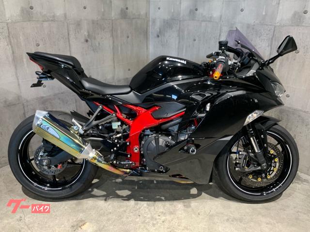 Ｎｉｎｊａ　ＺＸ−２５Ｒ　Ｋファクフルエキ　ブレンボマスター　サンスターディスク　トリックスターバックステップ＆スライダー