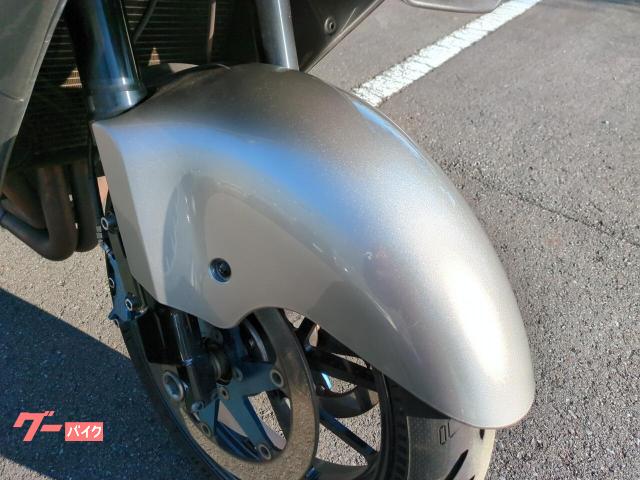ピカ り カワサキ Ninja ZX－12R 前後ゲイルスピード ブレーキ