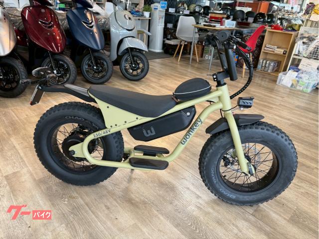 国産・他車種　ＷＯＮＫＥＹ（ウォンキー）４８Ｖ　ＭＯＳＳ