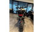 タイガー1200ラリー エクスプローラー