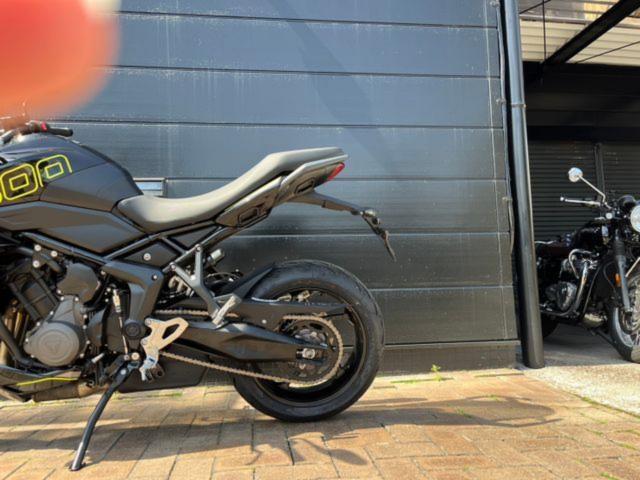 タイガースポーツ800