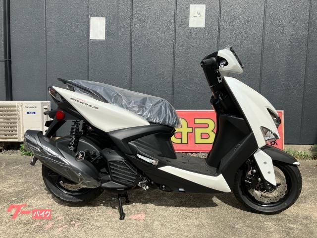 シグナス　グリファス