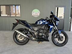 ホンダ　ＣＢＲ２５０Ｒ　ＨＯＮＤＡ　自賠責保険　令和１１年６月まで