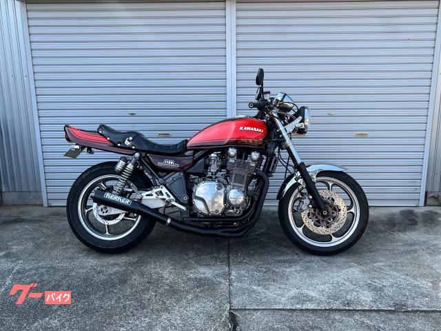 ＺＥＰＨＹＲ１１００