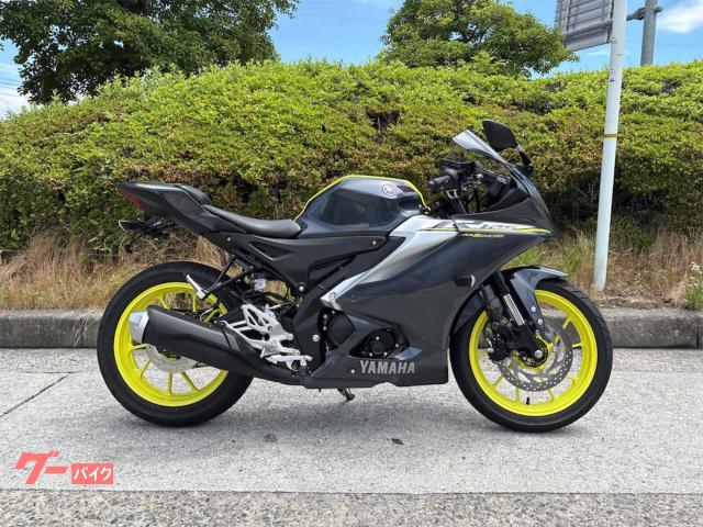 ＹＺＦ−Ｒ１２５ＡＢＳ　フェンダーレスＫＩＴ・アクセサリバー・ＵＳＢ電源