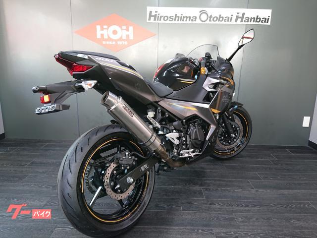 バイス 高い人気を誇る「Ninja ZX-25R」が完全新金型でアオシマ「SKYNET