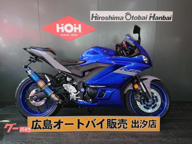 ＹＺＦ−Ｒ２５　ＡＢＳ　ＬＥＤウィンカー　カウルプロテクター　フェンダーレス　マルチバー　ＵＳＢ電源　ヘルメットホルダー