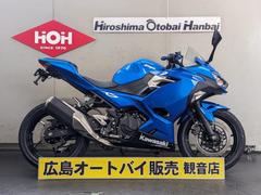 カワサキ　Ｎｉｎｊａ　２５０　ＡＢＳ　フェンダーレス・グリップヒーター・盗難アラーム装備