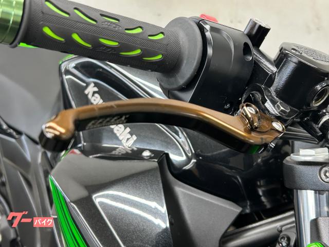 カワサキ Z400 ABS マジカルレーシングカーボンフェンダー