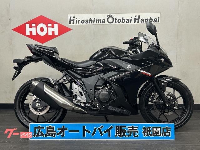ＧＳＸ２５０Ｒ　ＵＳＢ電源　ＬＥＤヘッドライト　ハンドルアップスペーサー　アジャスタブルレバー　フットペダルオフセット