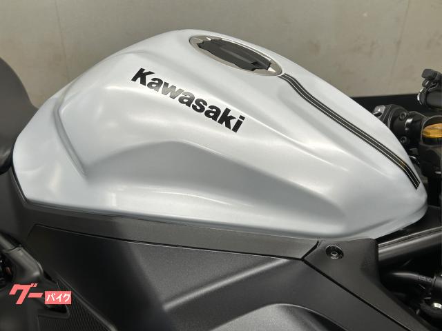 カワサキ Ninja ZX－4R SE ETC2．0 フェンダーレス