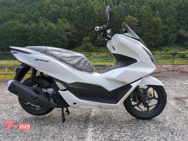 ＰＣＸ　ＪＫ０５　ＡＢＳ　グリップヒーター付き