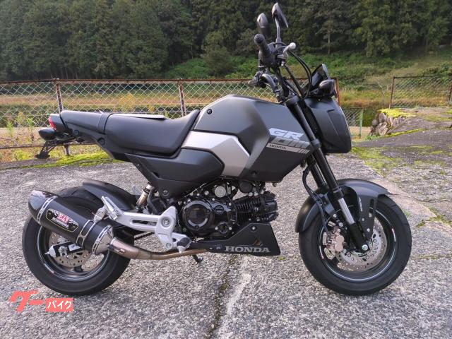 グロム　ＡＢＳ　ヨシムラサイクロン　アンダーカウル　ＵＳＢソケット　メーターバイザー付き