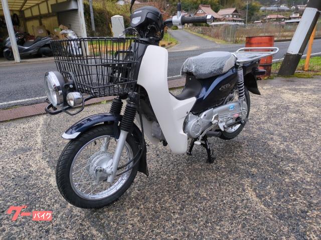 ホンダ スーパーカブ110プロ JA10 インジェクションモデル