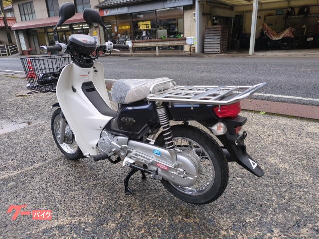 ホンダ スーパーカブ110プロ JA10 インジェクションモデル