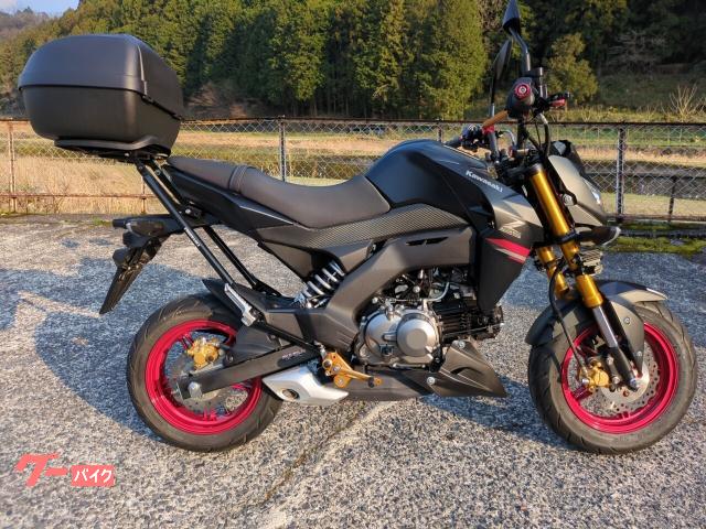 Ｚ１２５ＰＲＯ　ファイナルモデル　テールＢＯＸ　フォグランプ　バックステップ　ＵＳＢ電源付き
