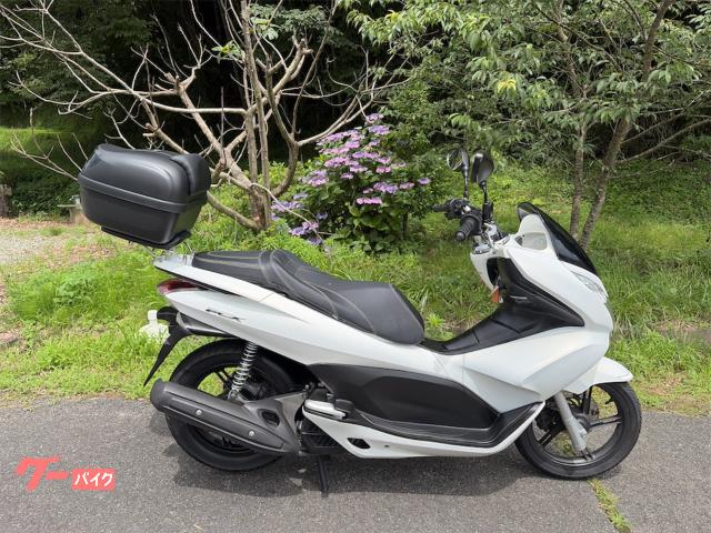 ＰＣＸ