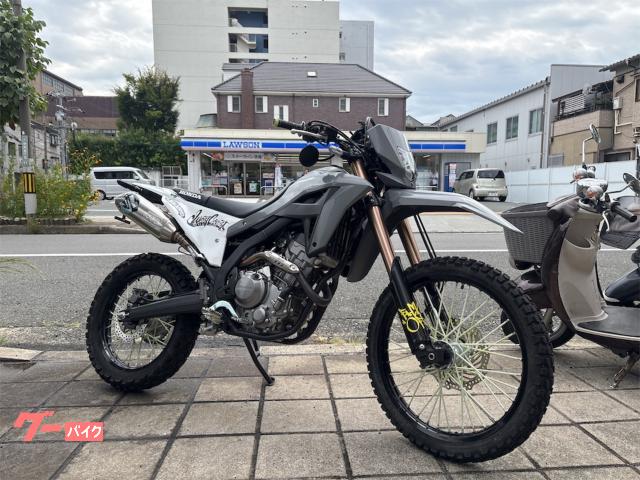 ＣＲＦ２５０Ｌ　ストリートカスタム　ノリフミフルエキ　ワンオーナー
