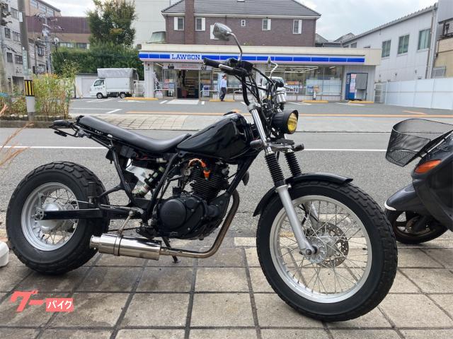 ＴＷ２２５Ｅ　ロンスイ　スカチューン