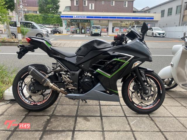 Ninja 250 カスタムマフラー バックステップ