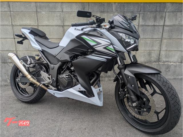 Ｚ２５０　マフラー・フェンダーレス・ミラー・レバーなどカスタム済