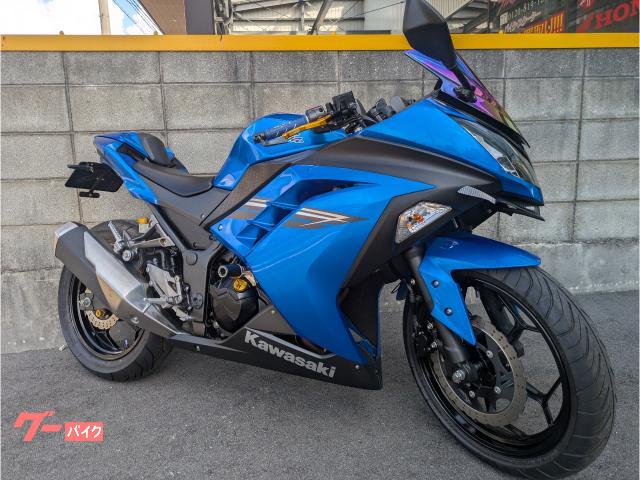 Ｎｉｎｊａ　２５０　フェンダーレス　ＥＴＣ