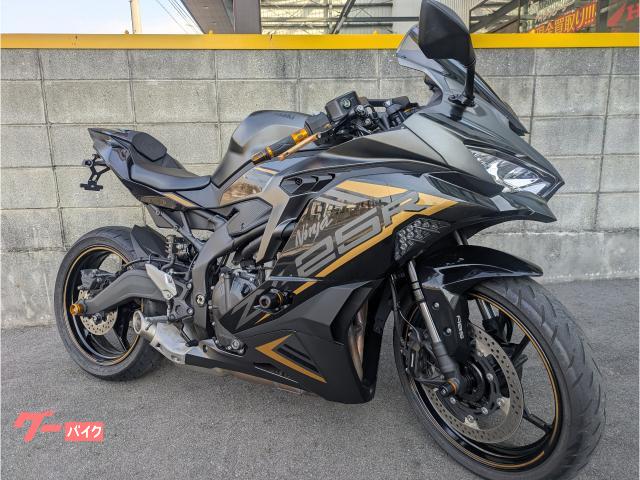 Ｎｉｎｊａ　ＺＸ−２５Ｒ　ＳＥ