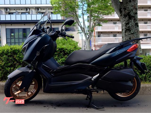 Ｘ−ＭＡＸ２５０