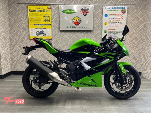 Ｎｉｎｊａ　２５０ＳＬ　フルノーマル　ＥＴＣ