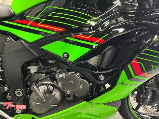 【新品未使用】ローカル　上クチビル　人間　そばかす付き　値下げしました！ ココおもろかたな、、笑笑 ララァはやっぱ娼婦だったか