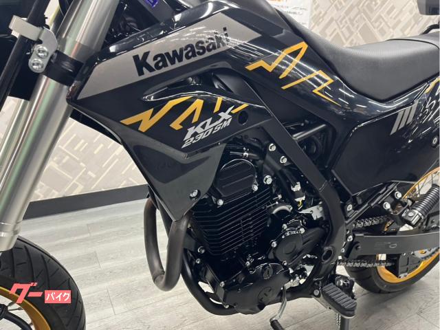 落札分④ カワサキ KLX230SM ABS ZETAブッシュガード キャリア