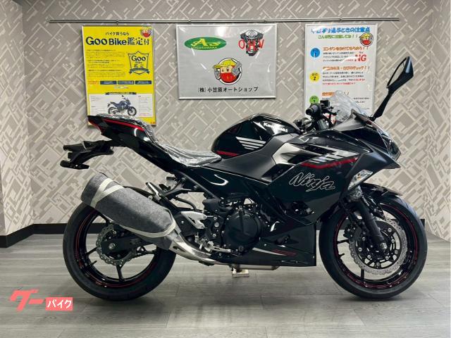 Ｎｉｎｊａ　４００　２０２５年モデル　ＮＥＷカラー