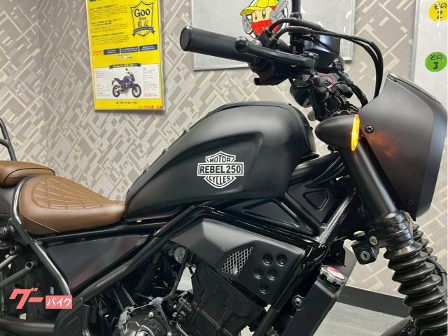 k*5様 HONDA レブル250タンク グレー k*5様 HONDA レブル250タンク グレー（ここに来てレブル250の