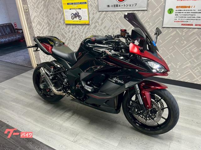 Kawasaki Ninja 1000 SX LCI — миниатюра 2
