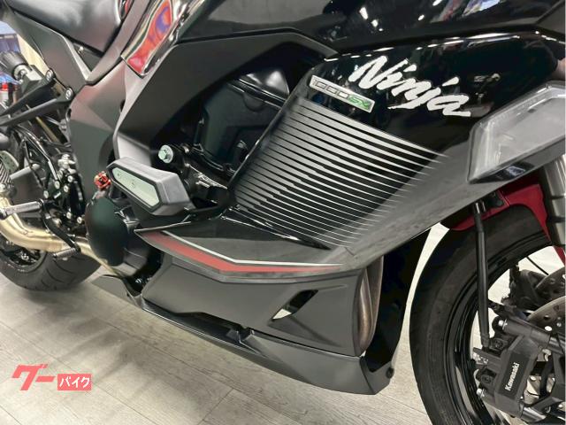 Kawasaki Ninja 1000 SX LCI — миниатюра 6