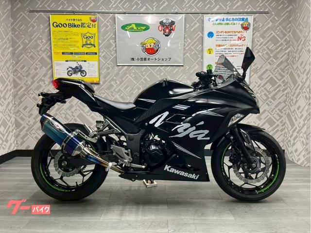 Ｎｉｎｊａ　２５０　ウィンターテストエディション　ＢＥＥＴマフラー　ＥＴＣ