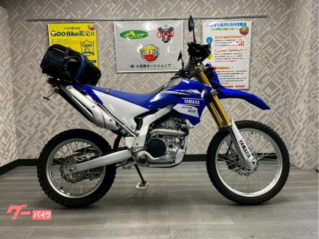 ＷＲ２５０Ｒ　ナックルガード　フェンダーレス　ツーリングバック