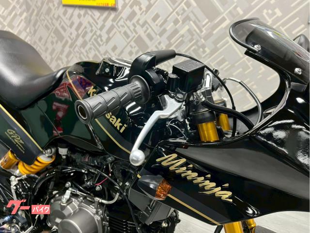 オーダー受付中！① カワサキ Z125PRO ワンオーナー GPZ外装キット BEET