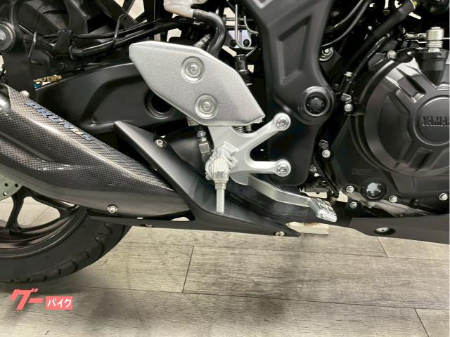 プラナスマフラー mt03 マフラー MT-25 MT-03用 PRUNUS スリップオン 