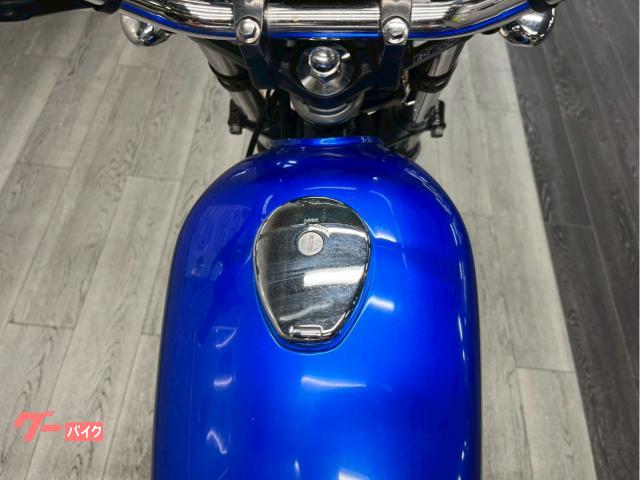 カワサキ 250TR FI WMシート 社外テールランプ カスタム