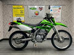 カワサキ　ＫＬＸ２５０　２型　ノーマル　ブッシュガード　ＦＩ