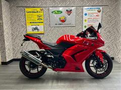 カワサキ　Ｎｉｎｊａ　２５０Ｒ　後期型　武川マフラー　フェンダーレス　ＬＥＤウインカー